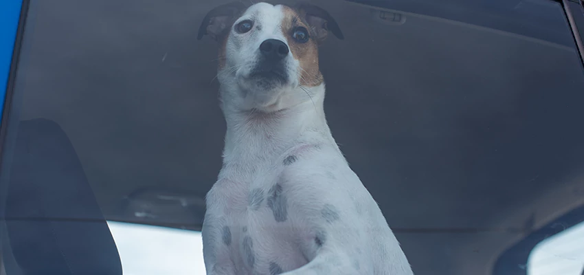 Car Lockout Solutions in Fruitridge Pocket, California